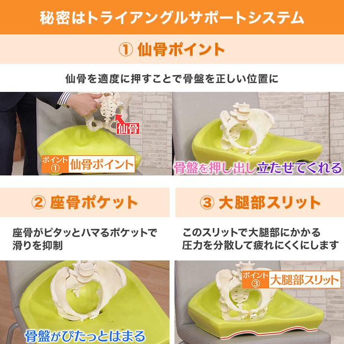 nishikawa お尻のまくら 骨盤サポートクッションKeeps : ロッピング