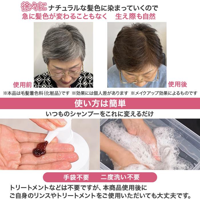 白髪用ブラックシャンプー特別2点セット じゅん散歩 テレビ朝日 テレ朝