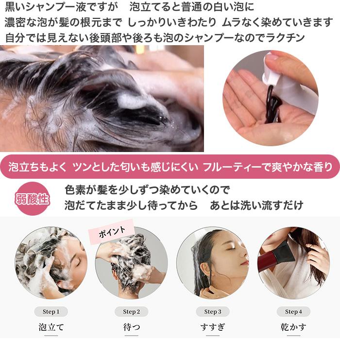 白髪用ブラックシャンプー特別2点セット じゅん散歩 テレビ朝日 テレ朝