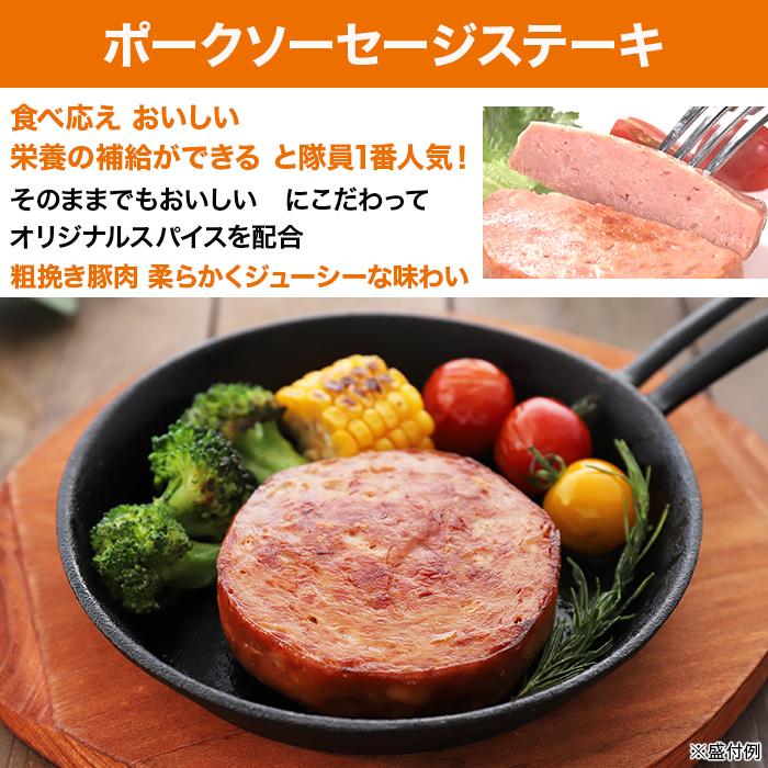 日本ハム 陸上自衛隊戦闘糧食モデル防災食 16食特別セット ニッポン