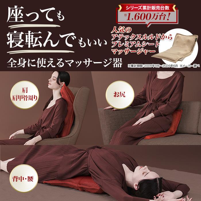 当選品 50名限定 アリナミン オリジナルカバーのシートマッサージャー アテックス ルルド プレミアムシートマッサージャー じゅん散歩 テレビ