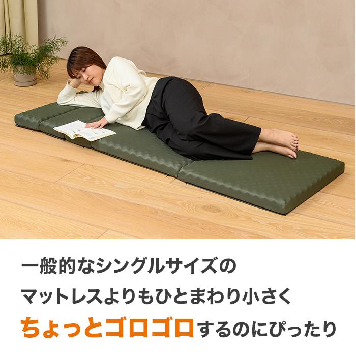 nishikawa ごろ寝マット スイート ニッポンめしあがれ テレビ朝日