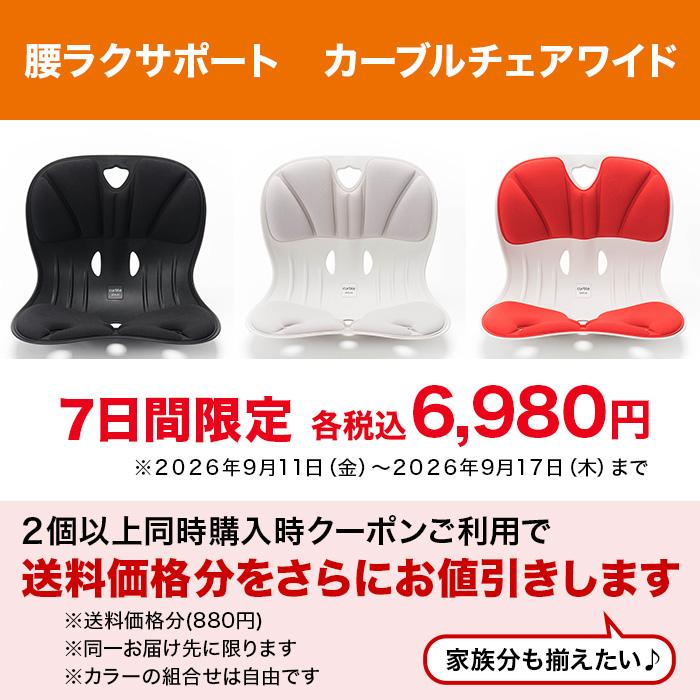 9/17までクーポン利用で1710円引き＆2個同時購入クーポン利用で送料分
