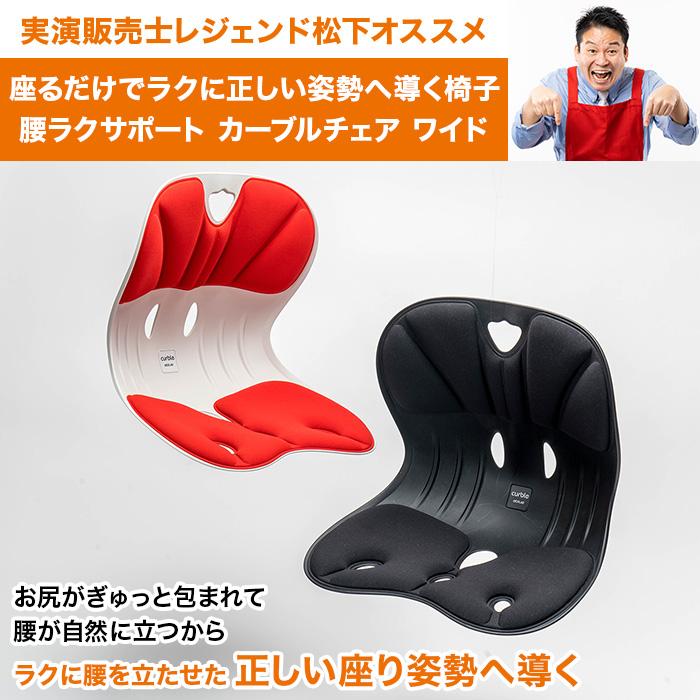 腰ラクサポート カーブルチェア ワイド ニッポンめしあがれ テレ朝通販