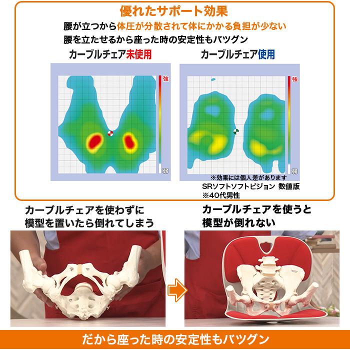 腰ラクサポート カーブルチェア ワイド じゅん散歩 テレビ朝日 テレ朝
