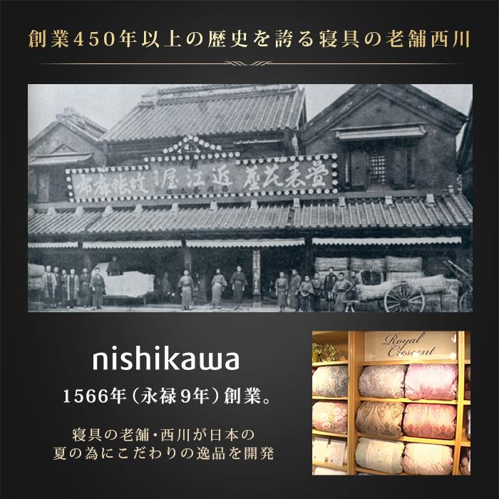 西川(nishikawa) ひんやり涼感寝具 ドリーミングアイス 3点セット