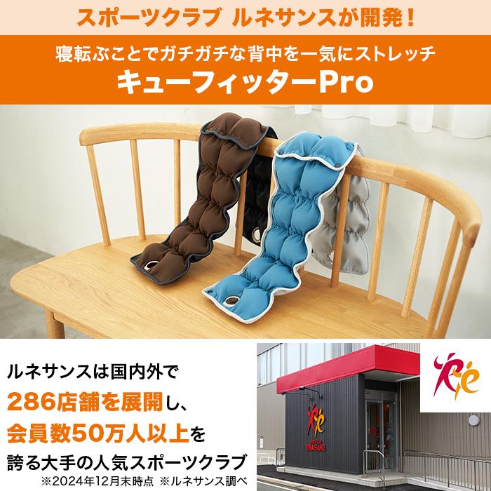 フィットネスクラブが つくった キューフィッターＰｒｏ 家庭用運動器具説明書箱付 ルネサンス スポーツクラブがつくったキューフィッターPro じゅん散歩
