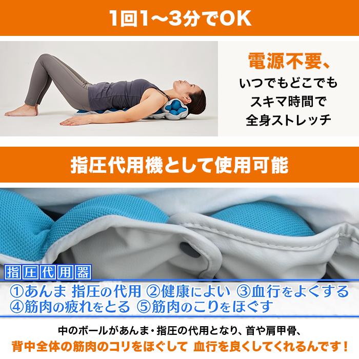 フィットネスクラブが つくった キューフィッターＰｒｏ 家庭用運動器具説明書箱付 ルネサンス スポーツクラブがつくったキューフィッターPro じゅん散歩