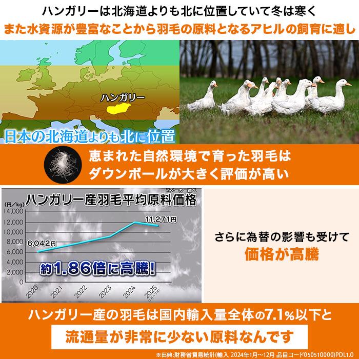モリリン ハンガリー産4つ星ホワイトダックダウン高級羽毛掛け布団