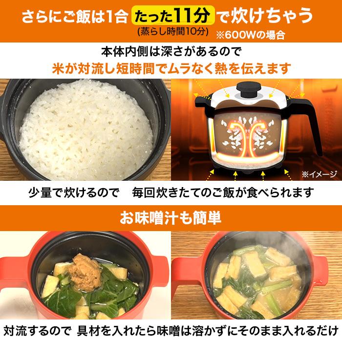 電子レンジ専用調理器具 レンジメート マグポット じゅん散歩 テレビ