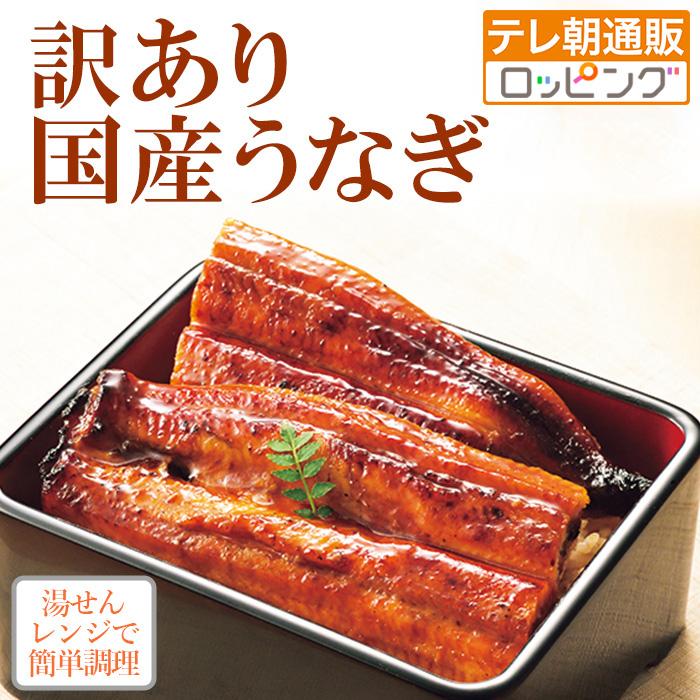 訳あり!国産うなぎの長蒲焼き600g 鹿児島県産 規格外 本格的な味