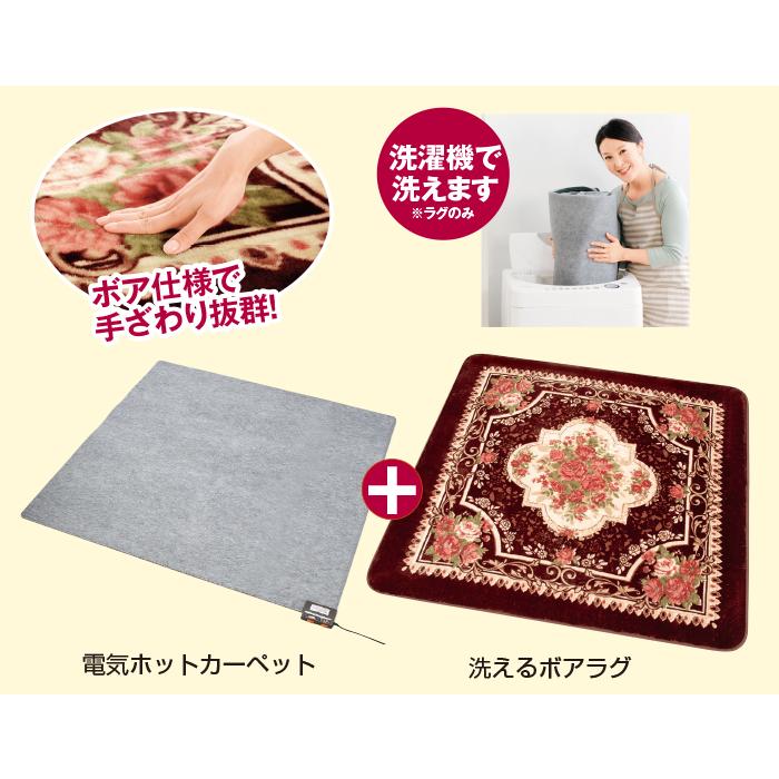 【直送】 洗えるホットカーペット付き ボアラグ 3畳 - 235×195cm ホットカーペット ラグ セット マット ボア カーペット 絨毯 長方形 ウォッシャブル おしゃれ エレガント 秋 冬 秋冬 花柄 ブラウン グリーン 電気ホットカーペット&洗えるボアラグ セット 3畳 テレビ朝日 テレ朝