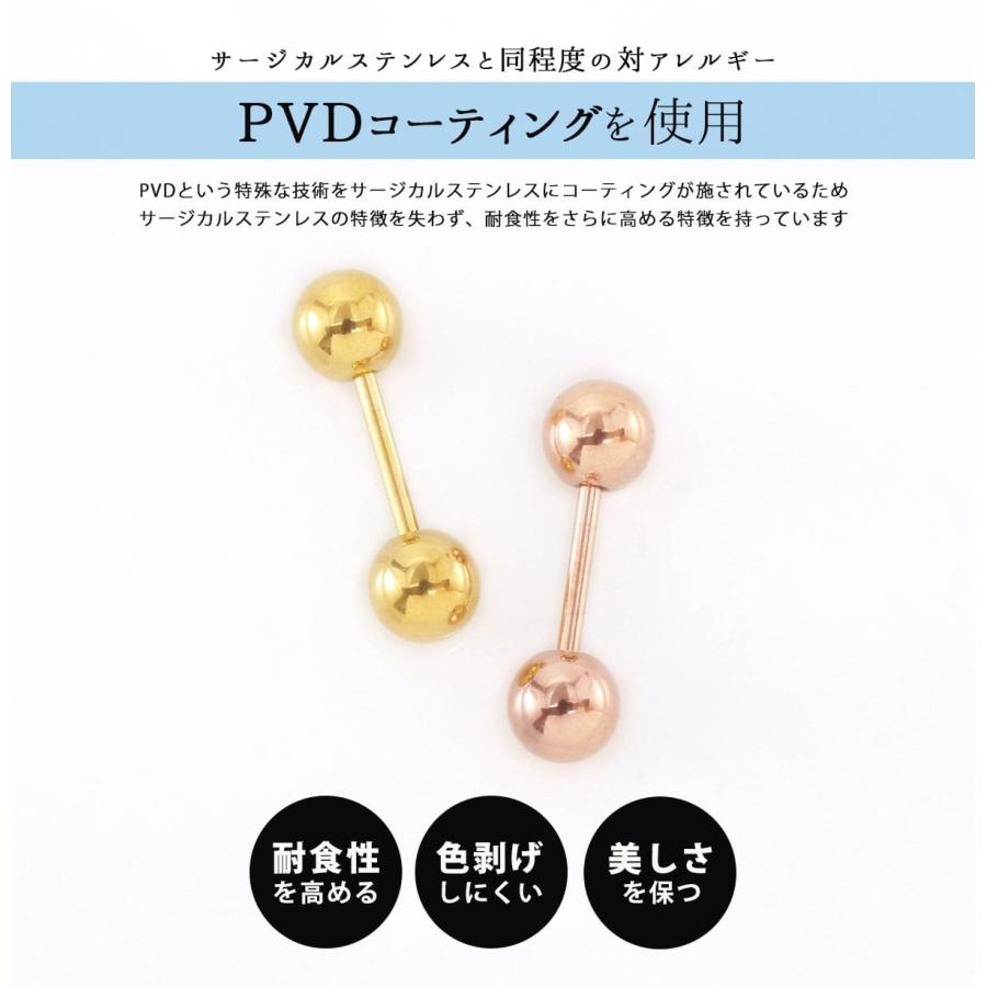 ROQUE（ロキ） (両耳用・2個売り)ピアス 金属アレルギー対応 20G ネジ