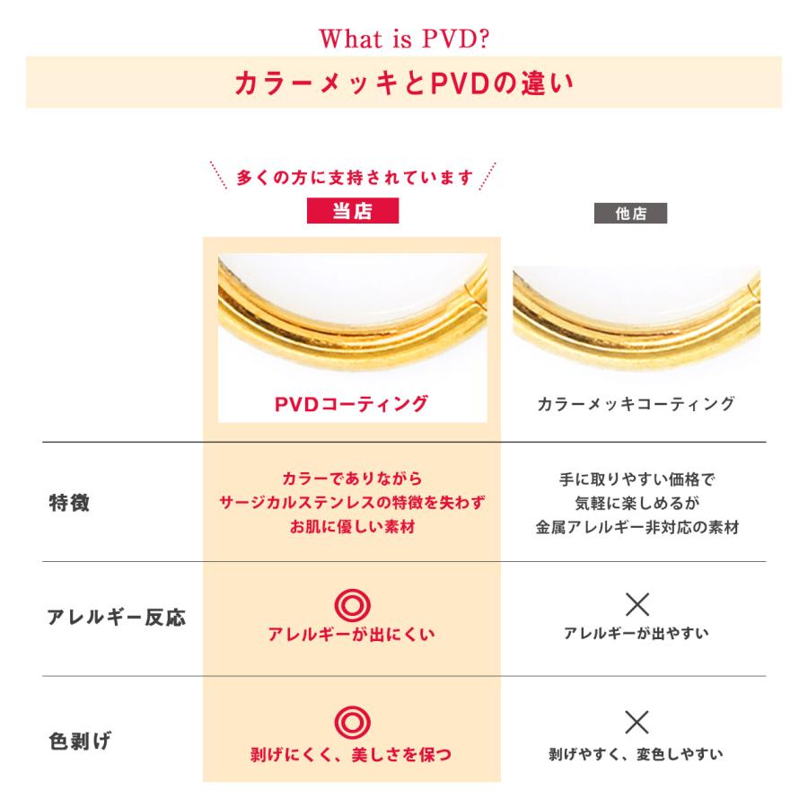 (左右2個セット)ボディピアス 16G 14G キュービックジルコニア サイドジュエル セグメントクリッカー(2個売り)(オマケ革命) | ROQUE | 11