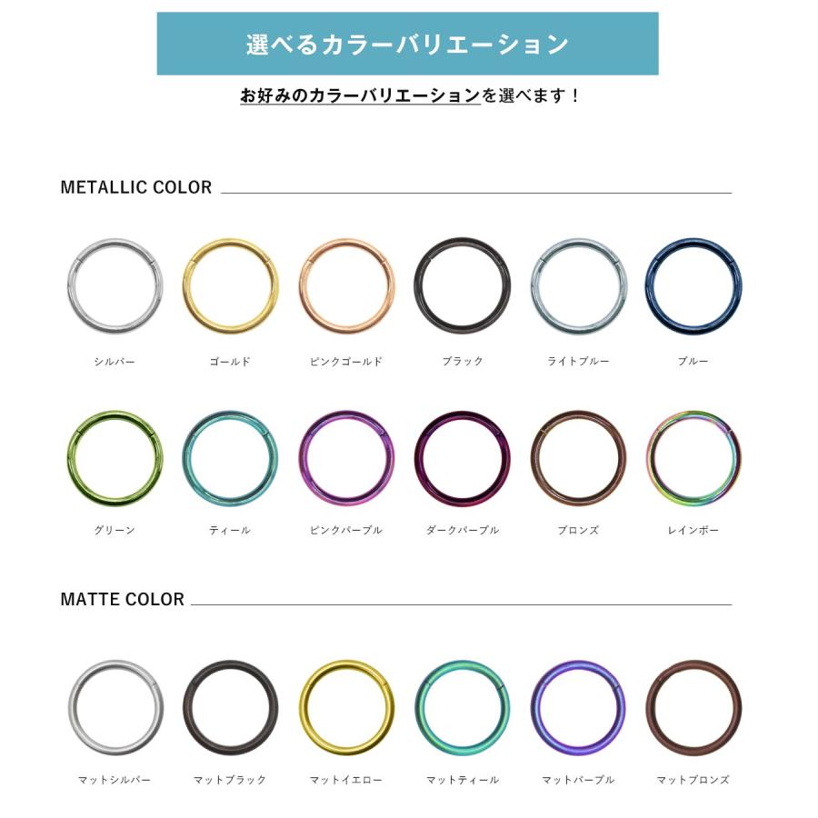 ボディピアス 軟骨ピアス 20G 18G 16G 14G シンプルワンタッチリング セグメントクリッカー(1個売り)(オマケ革命) | ROQUE | 35