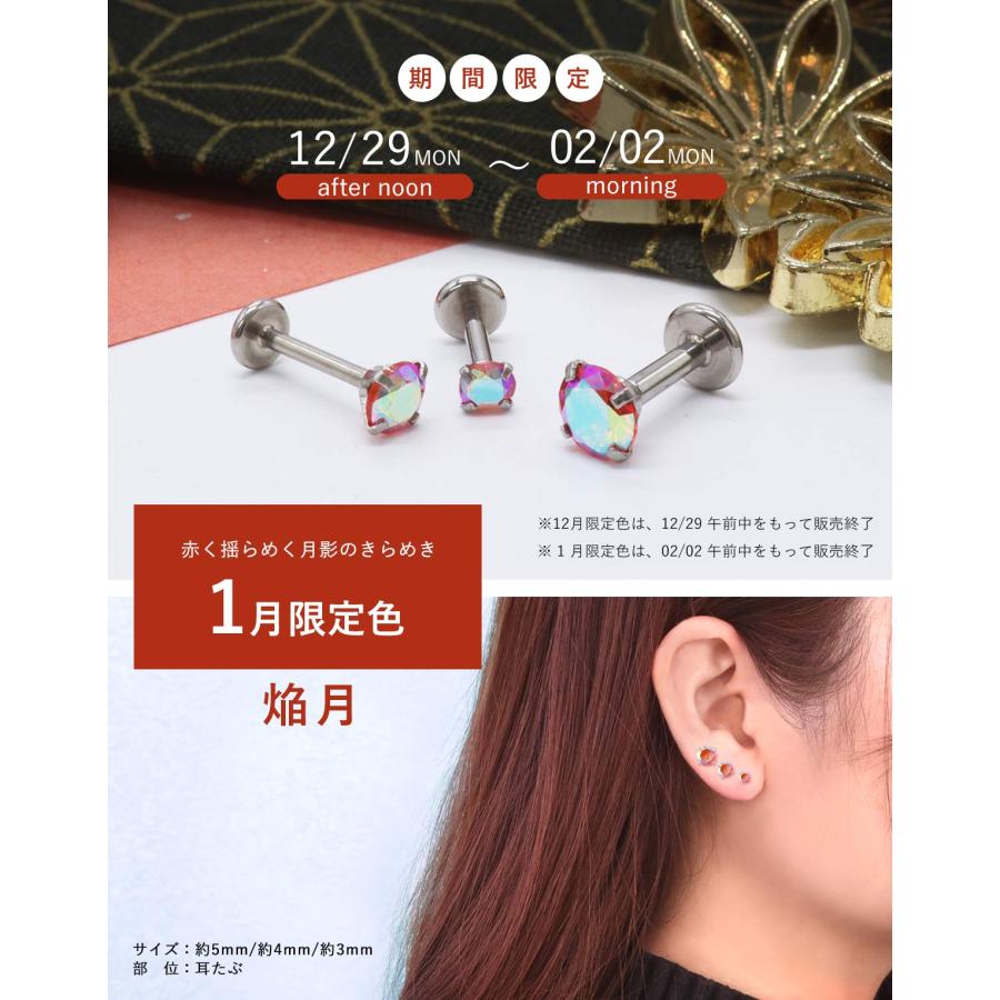 ROQUE（ロキ） (2個セット)(新タイプ)立爪CZインターナル 限定色 金属