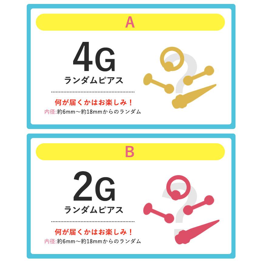 ROQUE（ロキ） ボディピアス 18G 16G 14G 対象商品合わせて1900円以上