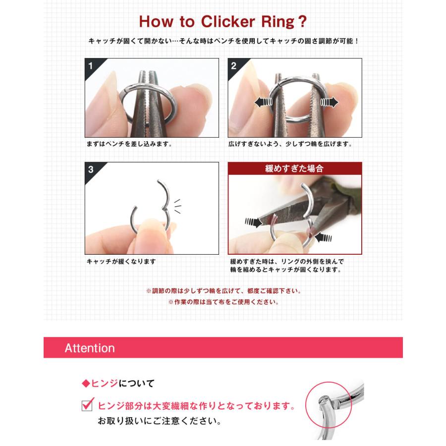 ROQUE（ロキ） チタンG23 定番 ボディピアス 18G 16G 14G セグメント