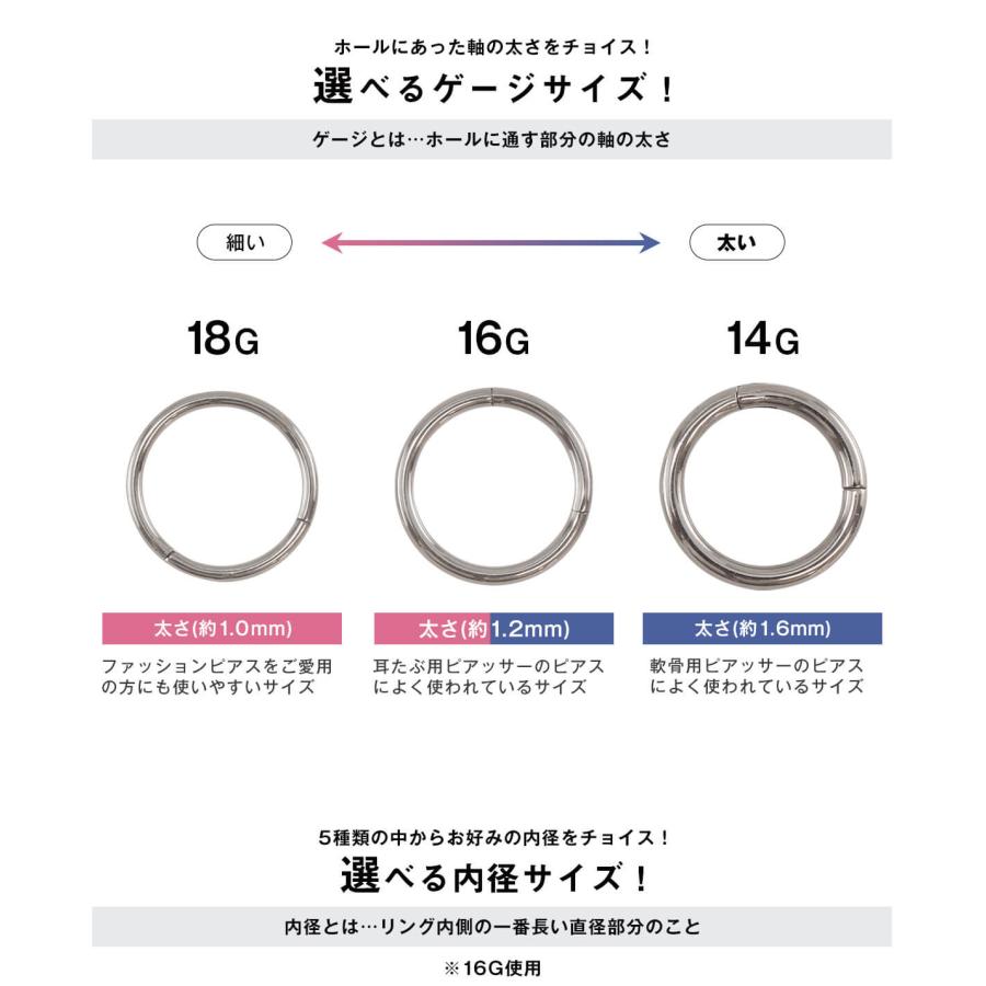 ROQUE（ロキ） チタンG23 定番 ボディピアス 18G 16G 14G セグメント