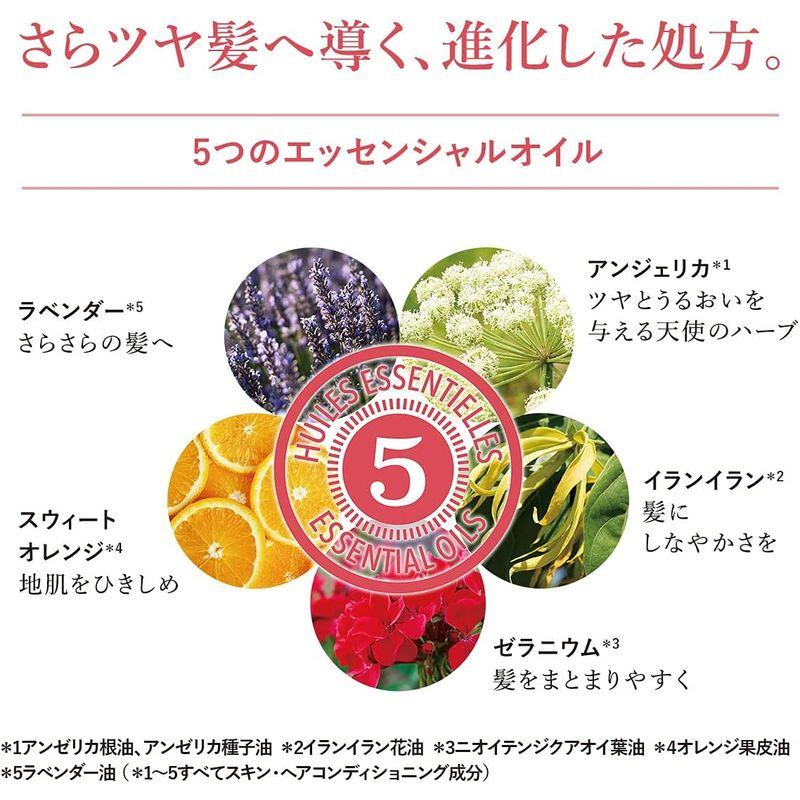 ロクシタン(L'OCCITANE) ファイブハーブス リペアリング コンディショナー 詰め替え 500mL トリートメント 500ミリリット｜rosashop｜04