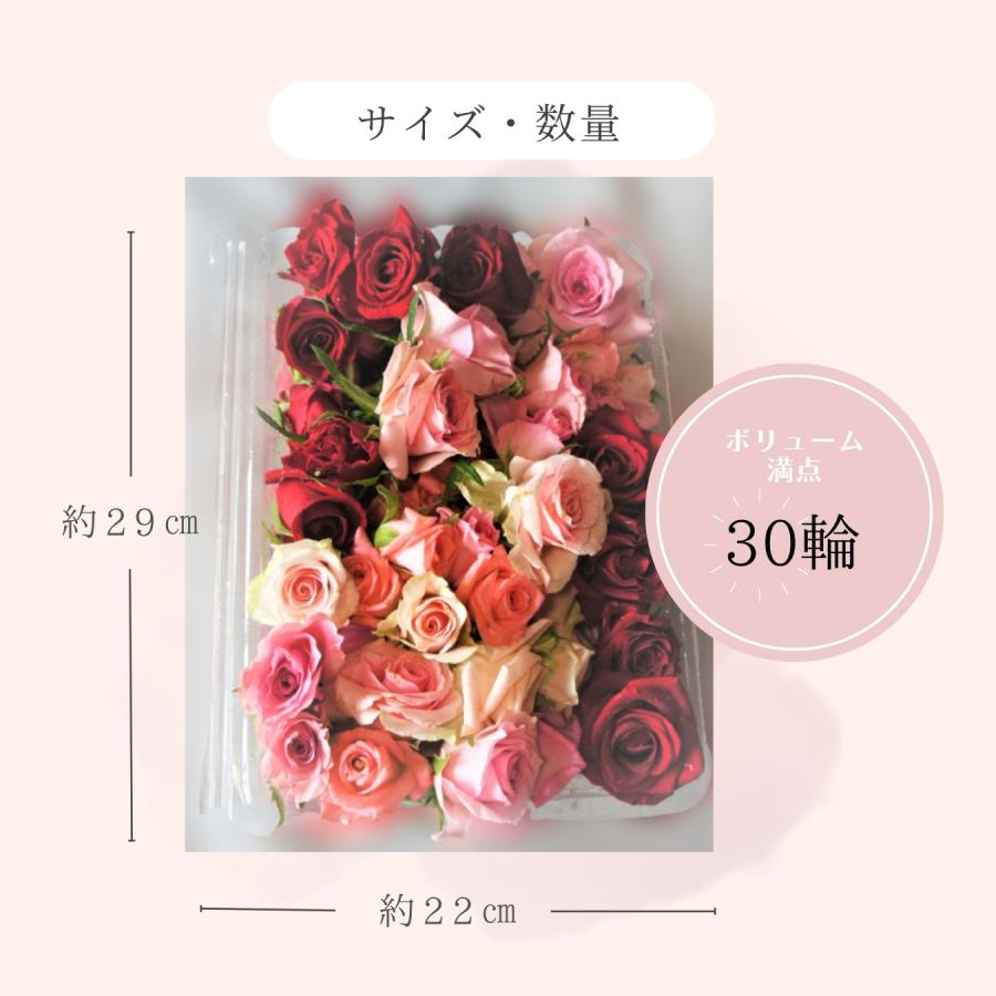 フラワーシャワー　生花　花びら　結婚式　披露宴　ローズシャワー　バラ　薔薇　プロポーズ｜rose-co-jp｜02