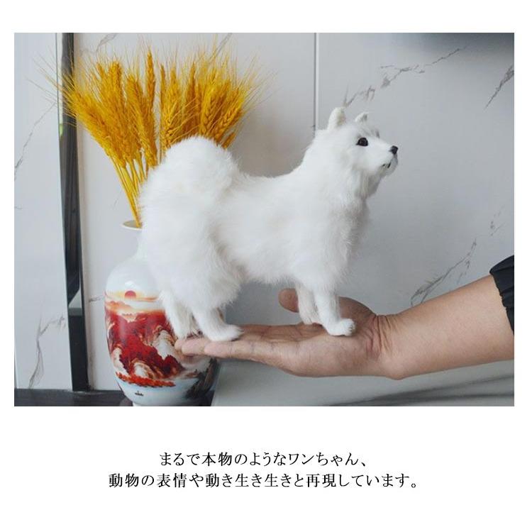 Samoyed クリーム色 フード付きファージャケット ファーアウター