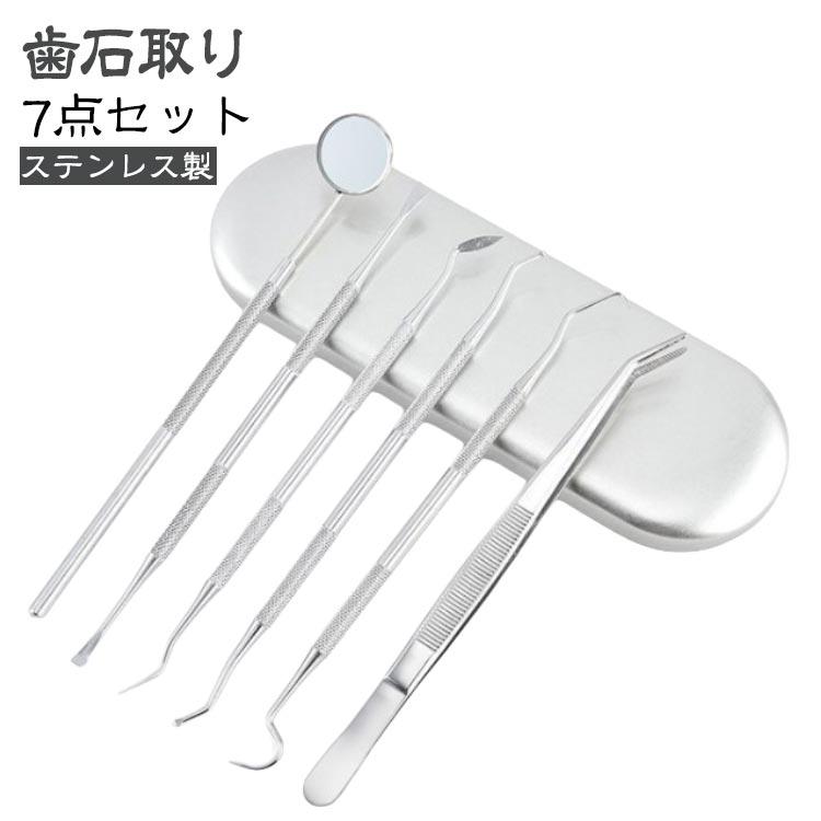 歯石取り 6点セット スケーラー ステンレス製 ヤニとり 自分で取る