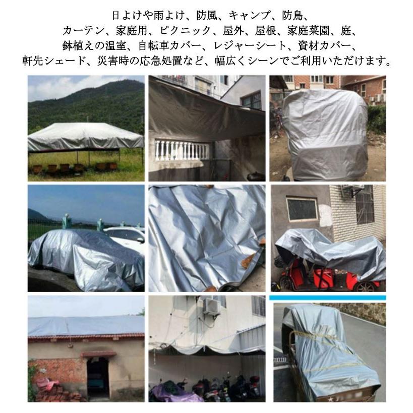 シルバーシート 厚手 防水シート 2x10m 3x6m 4x5m 屋外 防雨シート