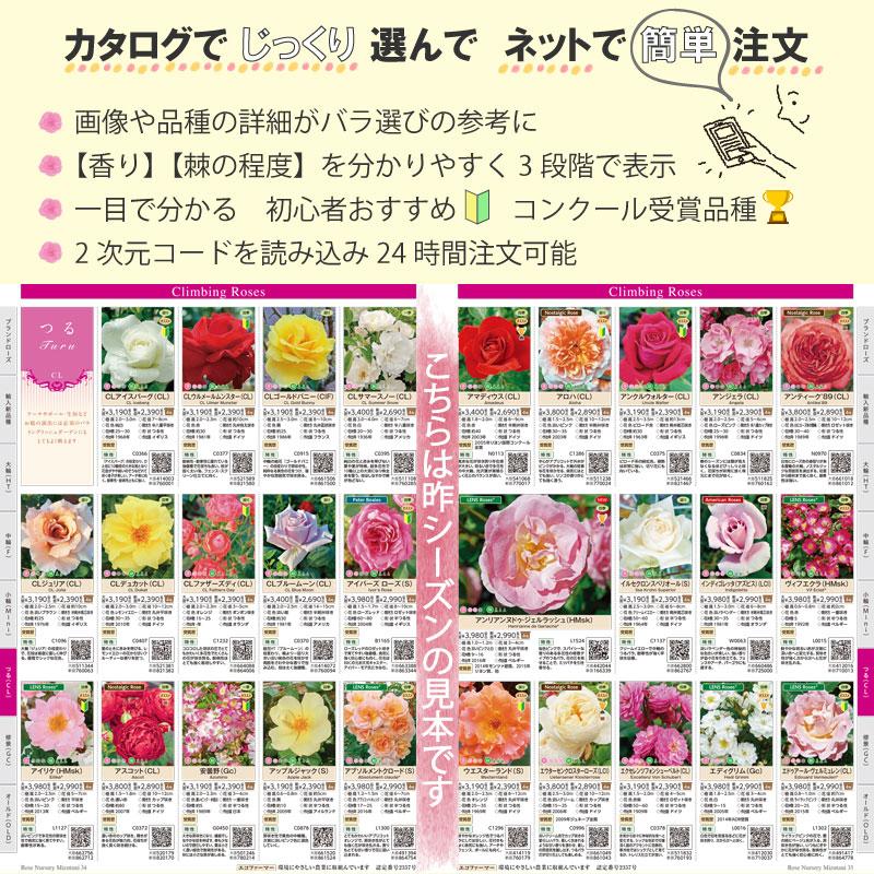 当園オリジナルカタログ 2025 バラ苗ご購入に使える300円クーポン付き