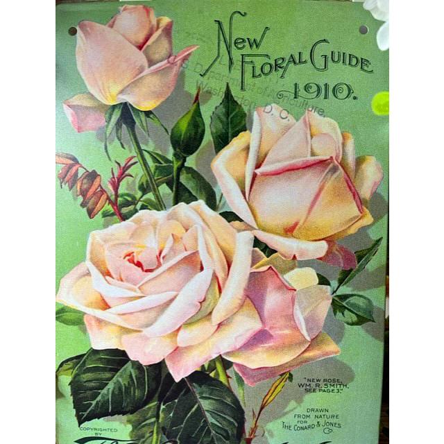 ブリキ看板 20×30cm 薔薇の花　　付属品あり　アートパネル 壁掛け　柄(2)(1)(3)(4)｜rose-viva-shop｜06