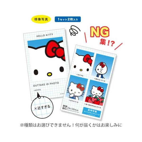 sanrio（サンリオ） 証明写真風スマロイドNG集 ハローキティ 単品