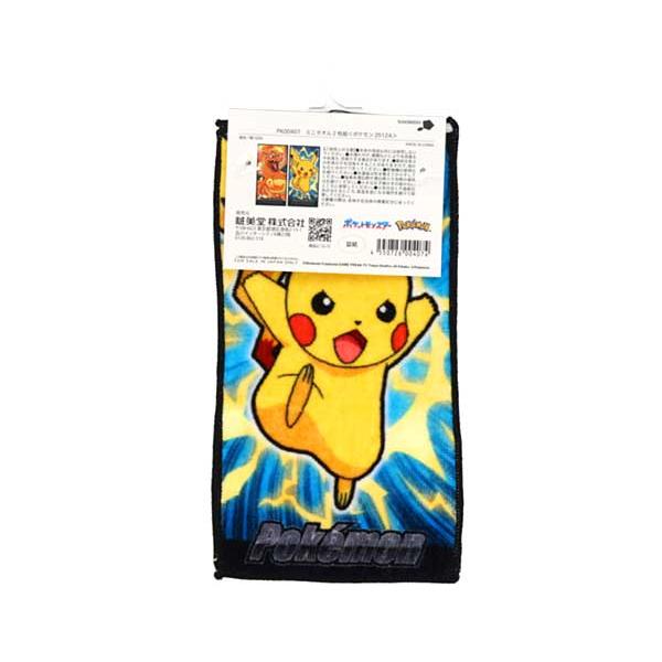 Pokemon（ポケモン） ポケットモンスター ミニタオル 2Pセット ミニ