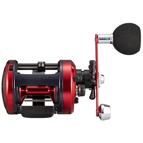 ダイワ(DAIWA) 両軸リール 17 ダイナスター 300(2017モデル