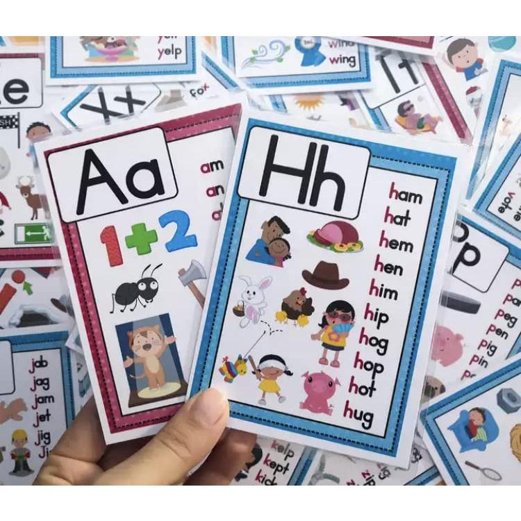 Training Toy 英語 フラッシュカード 英単語 カード