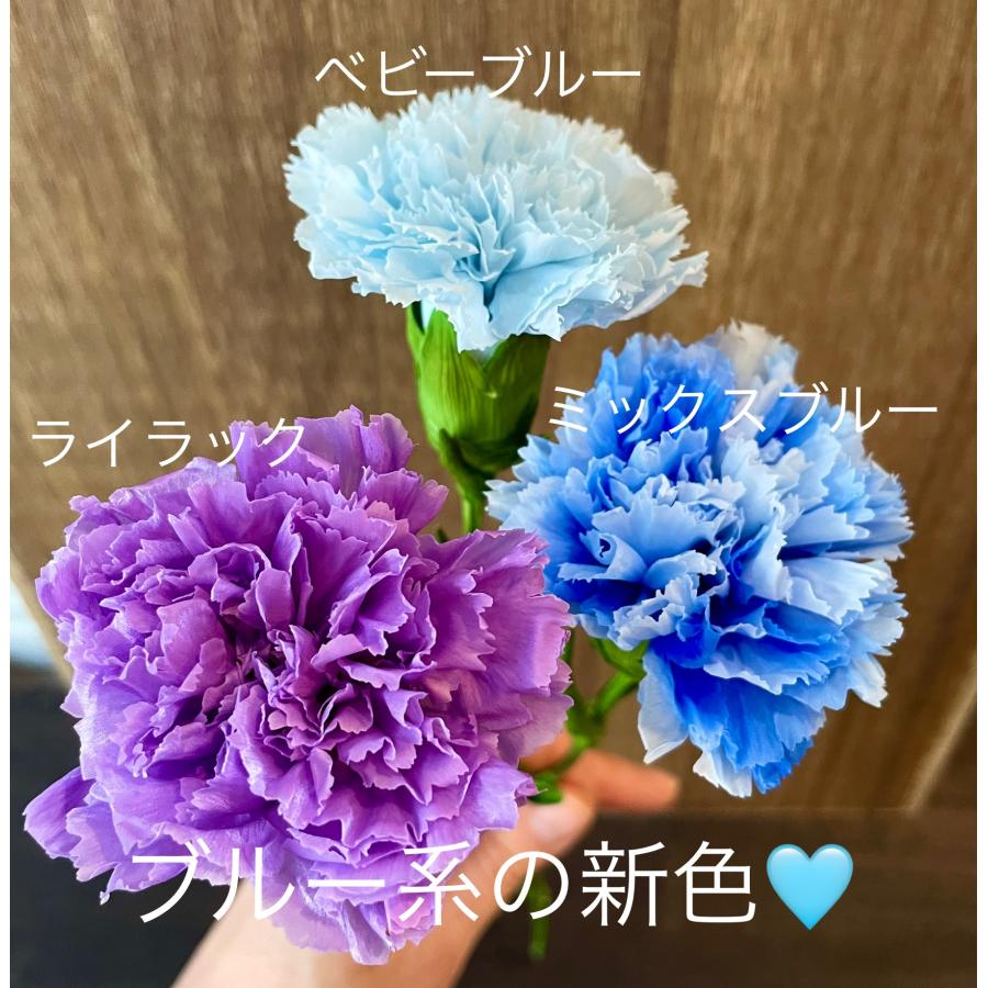 母の日 カーネーション一輪・ブラックボックスのプリザーブドフラワー
