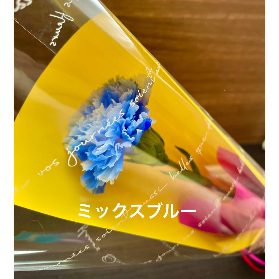 母の日 カーネーション一輪・ブラックボックスのプリザーブドフラワー