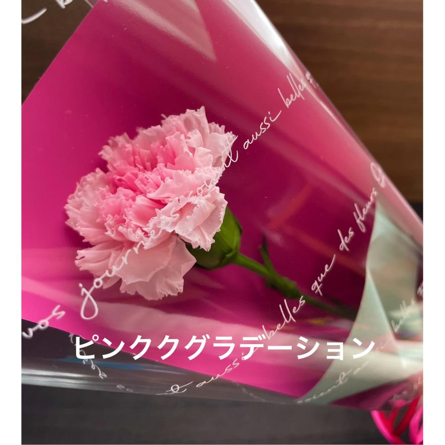 母の日 カーネーション一輪・ブラックボックスのプリザーブドフラワー