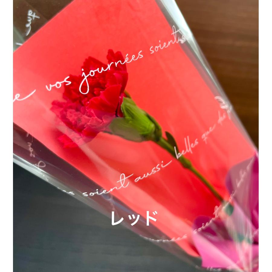 母の日 カーネーション一輪・ブラックボックスのプリザーブドフラワー