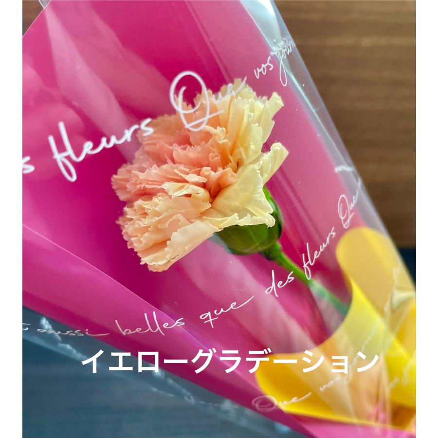 母の日 カーネーション一輪・ブラックボックスのプリザーブドフラワー