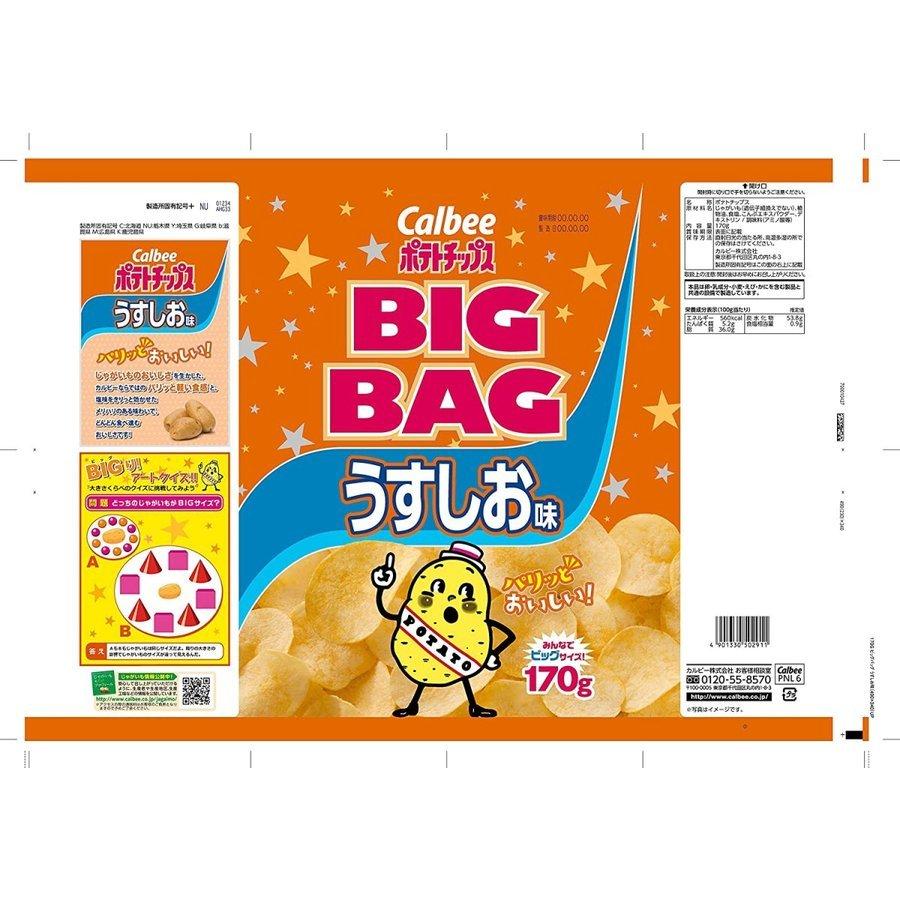 カルビー（Calbee） ポテトチップス ビッグバッグ うすしお味 170g