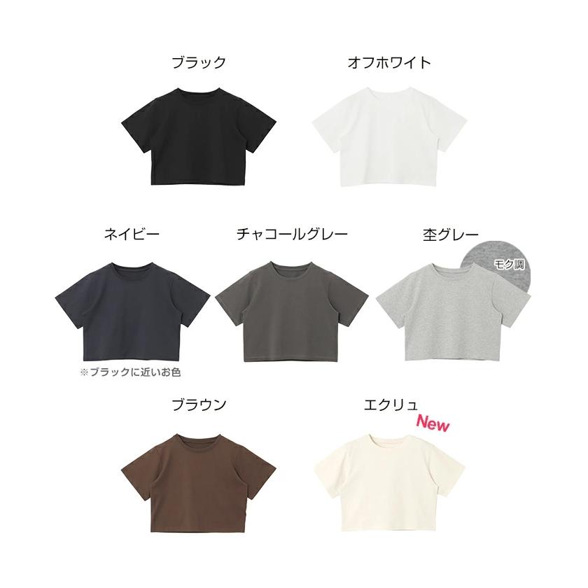 汗染み防止 ショート丈 半袖 Tシャツ レディース トップス カットソー 