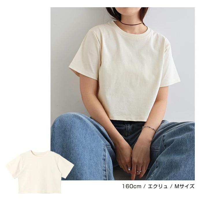 カットソー(半袖/袖なし) FRORET POPCORN TOP 汗染み防止 ショート丈 半袖 Tシャツ レディース トップス カットソー