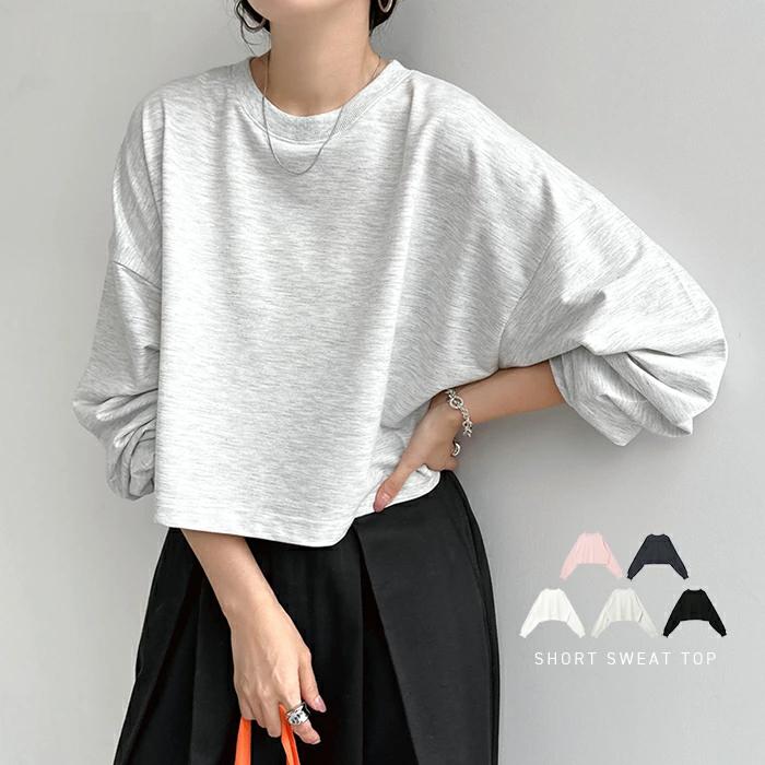 トップス 長袖 カットソー ショート丈tシャツ 薄手 レディース きれいめ フィ ロンT ロゴ ショート丈 カットソー Tシャツ トップス 長袖 薄手 秋 春