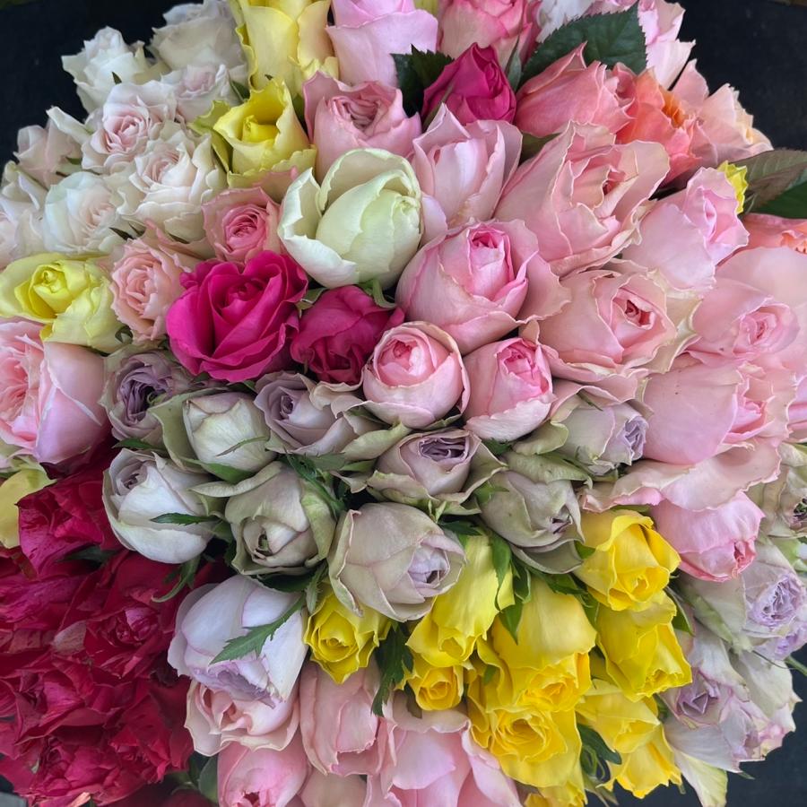 100本の薔薇の花束＊30cm ×100本 おまかせミックス ラッピング込