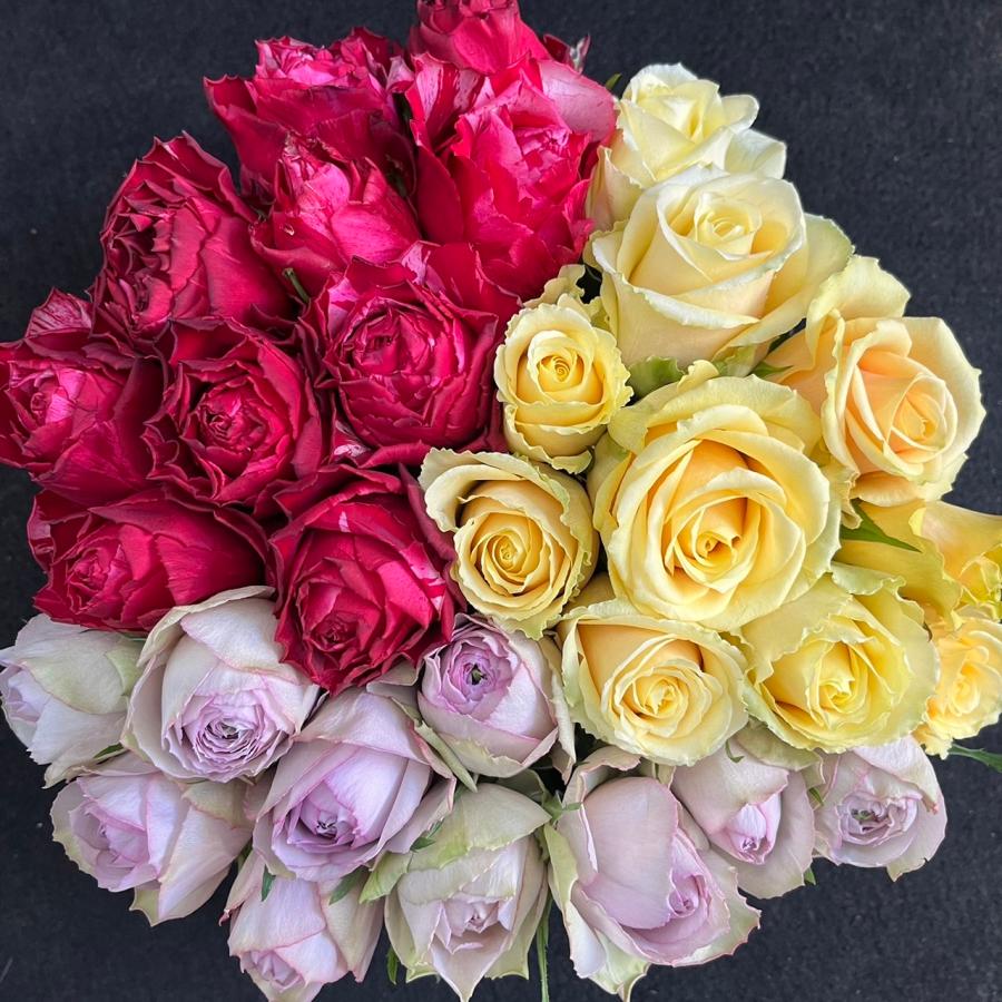 バラ ご注文 30センチ70本 バラ 切り花 生花 農園直送！！(バラ・切り花・生花)おまかせMIX 30センチ 30本 鮮度抜群