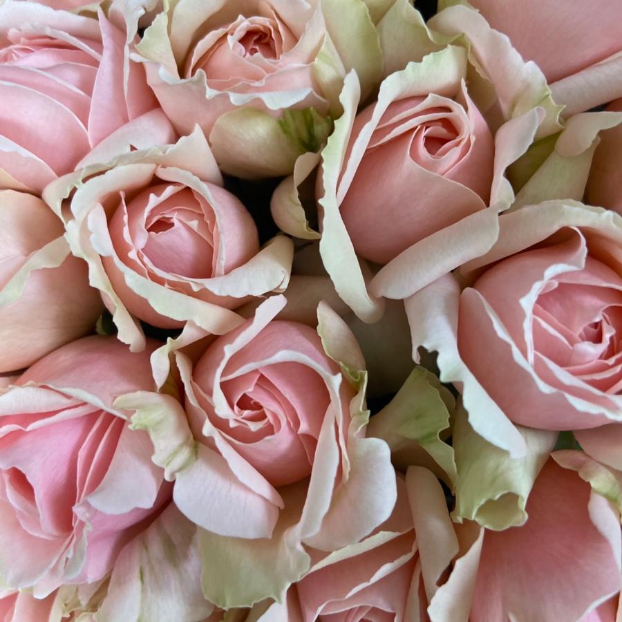 エレガント 薔薇雑貨★花瓶★新品 pa1214n3ijp4imb_0.jpg