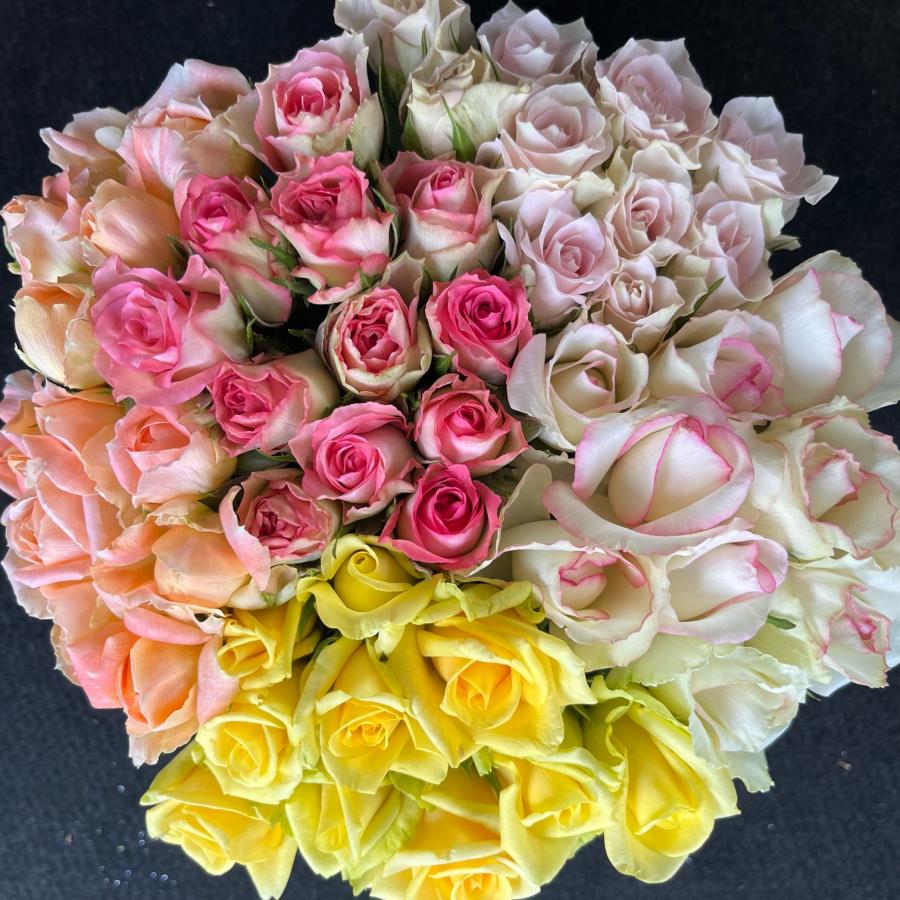 農園直送！！(バラ・切り花・生花)おまかせMIX 30センチ 50本