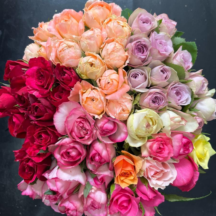 農園直送！！(バラ・切り花・生花)おまかせMIX 30センチ 50本 鮮度抜群