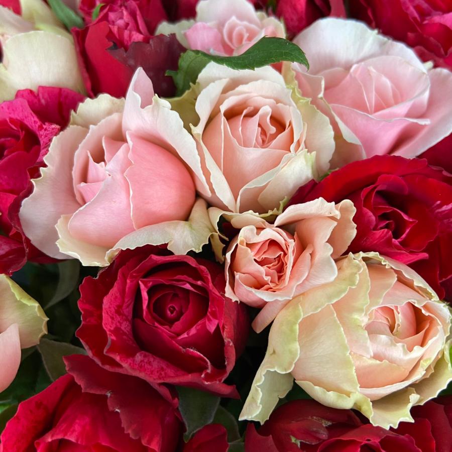 ＊赤とピンクの花束＊　30㎝ ✖️60本　ラッピング込み　還暦・プロポーズ・誕生日 赤とピンクの花束＊30cm 60本 ラッピング込 還暦・プロポーズ・誕生日