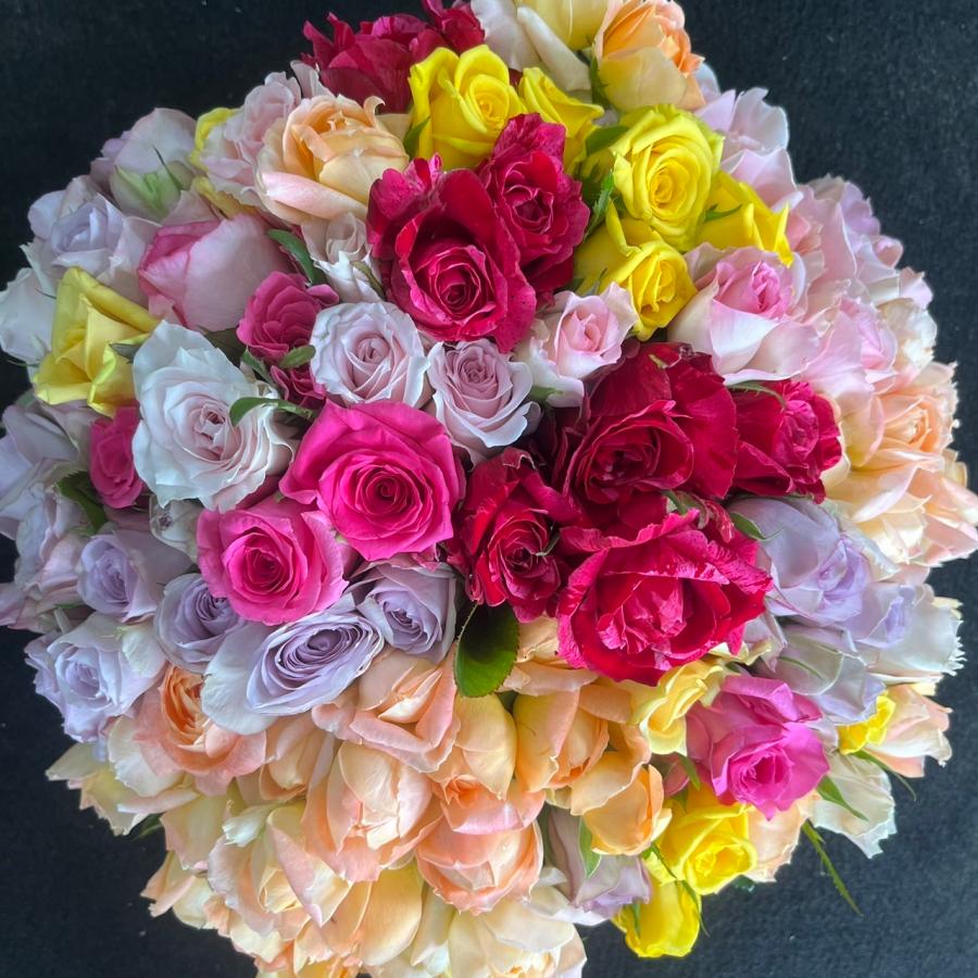 数量限定！！バラ・B品 （切り花・生花）30cm100本 規格外品・お得品